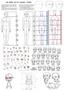 Notion de proportion du corps humain pour le dessin Manga