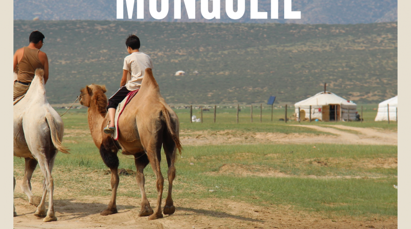 2019_11_07 conf mongolie