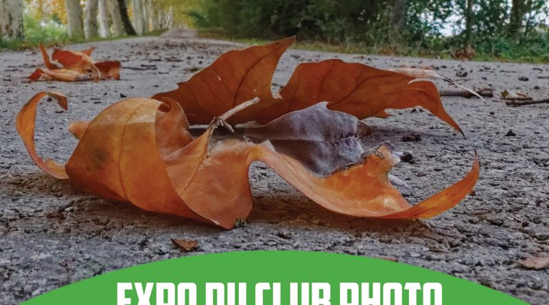 Expo Photo Ras du sol